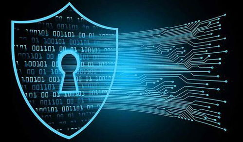 國家網(wǎng)絡(luò)安全宣傳周 網(wǎng)絡(luò)技術(shù)服務(wù)典型案例匯編（第一期）