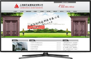 專業(yè)網(wǎng)絡(luò)技術(shù)服務(wù) 松江網(wǎng)站建設(shè)、制作與設(shè)計(jì)解決方案